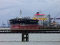 Stena arctica.jpg